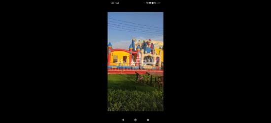 نطوطات للبيع مع الملحقات - 3