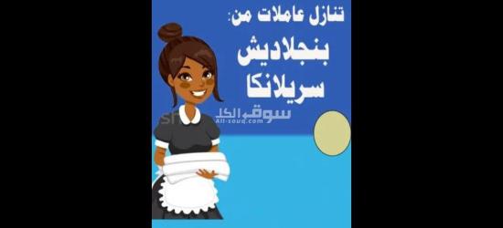 جلد الايد العاملة اجار شهري - 2