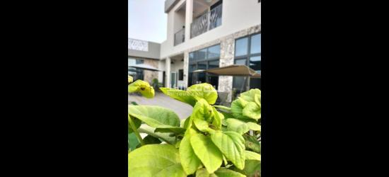 استراحة فلورا الشرق - 3