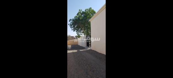 منزل للبيع من المالك مباشرة - 14
