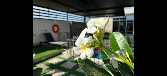 استراحه فلورا الشرق - 4