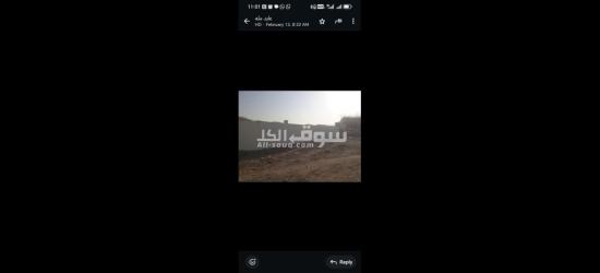 ارض مسوره 500م2 للايجار - 6