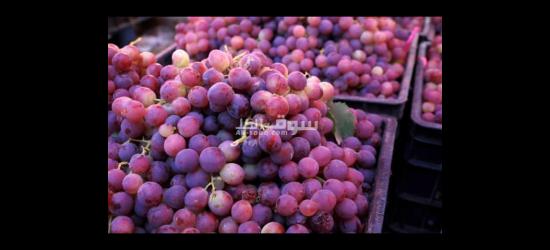 خيرات عمان واليمن بين يديك - 2